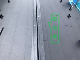 タフモック