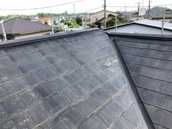 谷