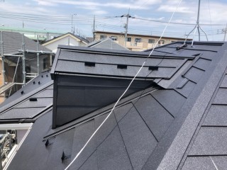 ドーマーのガルテクト