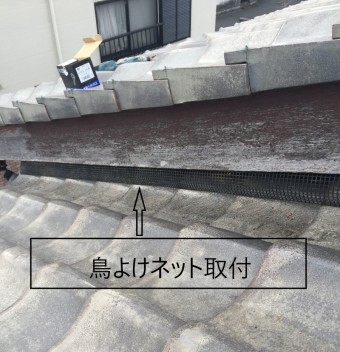 鳥よけネット