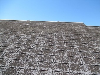 ポールカメラ