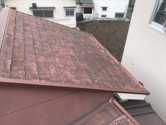 屋根調査