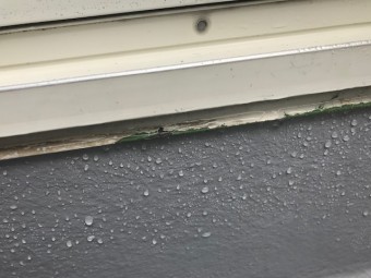 雨漏り