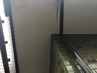 屋根調査