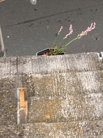 屋根診断