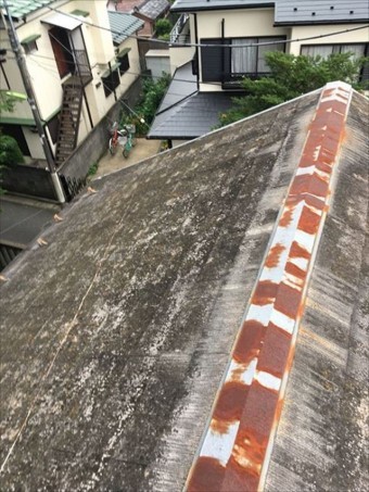 屋根診断