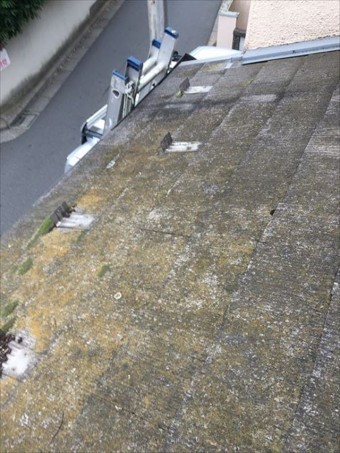 屋根診断