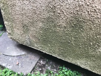 外壁診断