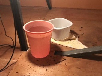屋根点検