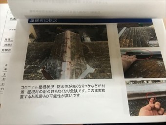 報告書