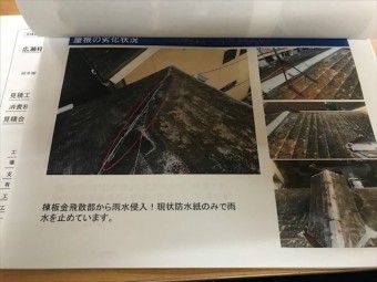 報告書