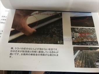 報告書