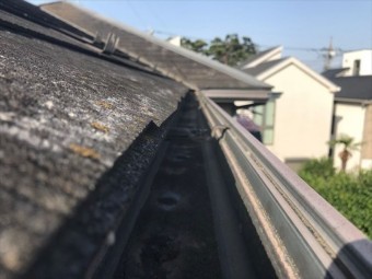 コロニアル