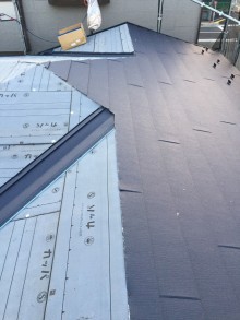 本体