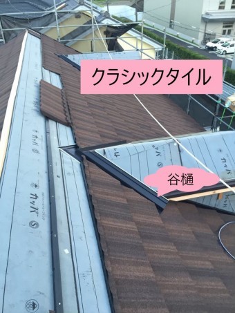 ドーマー部
