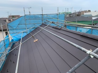 新規ガルテクト