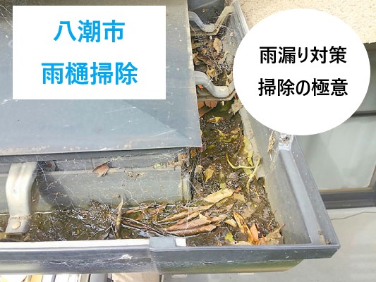 八潮市 雨樋掃除！雨樋が詰まる前に！知るべき雨漏り対策と掃除の極意
