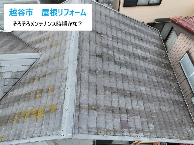 越谷市　築20年建売住宅の屋根リフォーム現地調査！そろそろメンテナンス時期かな？ノーメンテの屋根を徹底点検