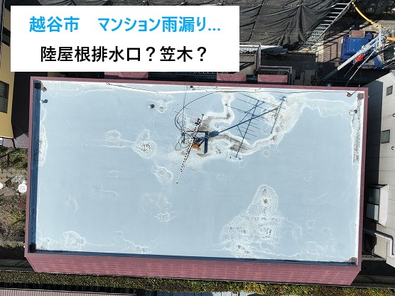 越谷市　マンション最上階の雨漏り！陸屋根排水口・笠木ジョイントの重要性
