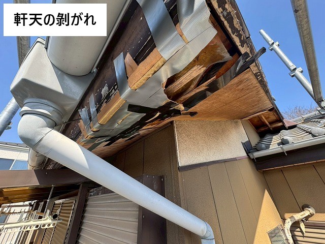 剥がれた軒天の調査