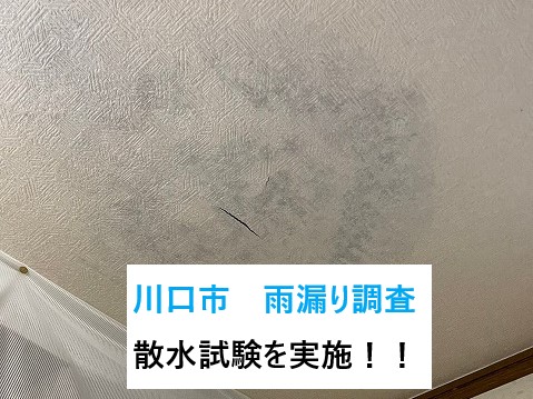 散水試験