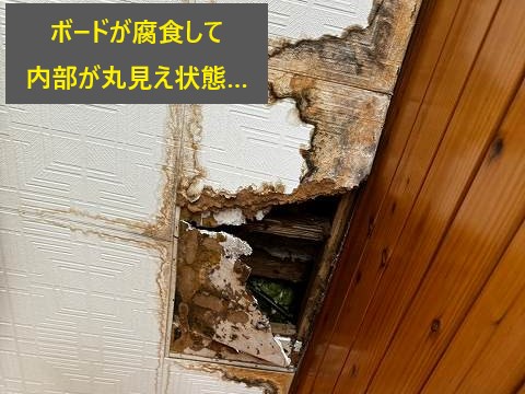 雨漏りの原因を追究ししっかりした補修をしましょう♬