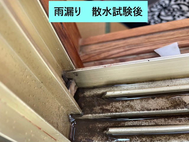 散水試験後