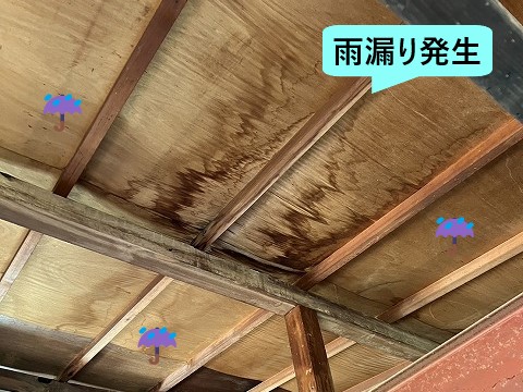 雨漏り