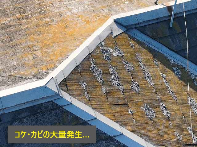 屋根・外壁メンテナンスを無料点検無料見積りを活用してお直ししませんか？