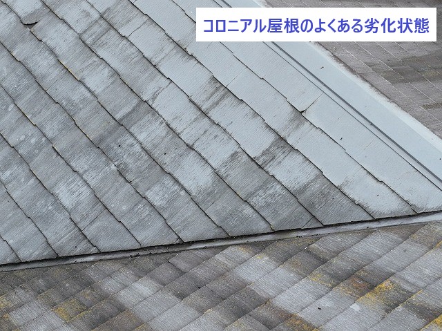コロニアル屋根の劣化症状　よくあるコケやカビは勿論、欠けや破損も多数