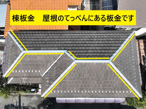 棟板金の位置を示す屋根全景