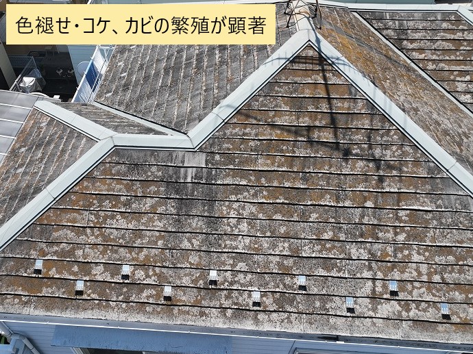 屋根の無料点検・調査実施