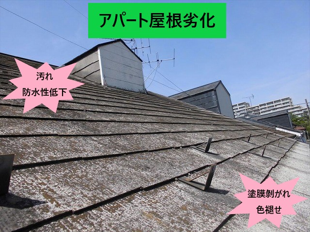 アパート屋根劣化