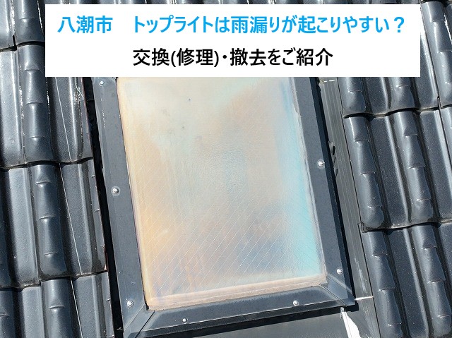 八潮市　トップライトは雨漏りが起こりやすい？原因と注意点、交換・撤去工事をご紹介！
