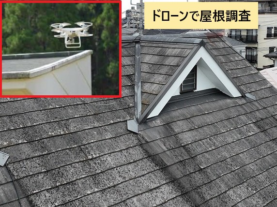 ドローンで調査