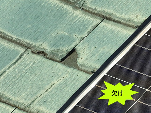 コロニアルNEOかけ