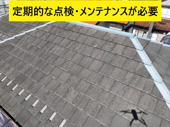 棟板金のある屋根全体