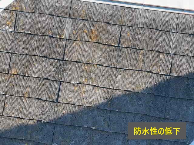 屋根・外壁メンテナンスを無料点検無料見積りを活用してお直ししませんか？