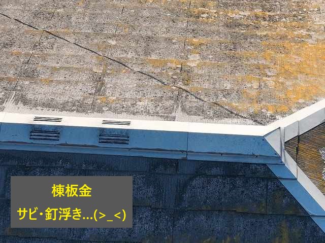 屋根・外壁メンテナンスを無料点検無料見積りを活用してお直ししませんか？