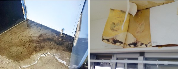 マンションの最上階で雨漏り発生　原因追及し施工完工