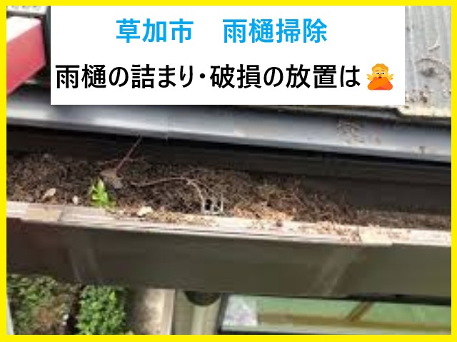 草加市で雨樋掃除をご検討の方へ！放置が危険な理由と対処法をわかりやすく解説！　
