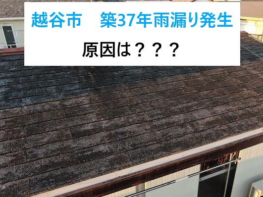 越谷市　築37年一度も屋根のメンテナンスなしのお宅で雨漏り発生・・・原因は？？