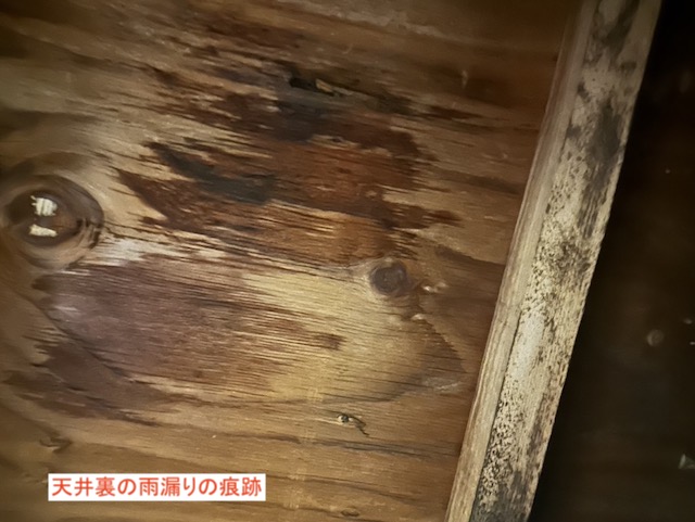 屋根裏の雨漏り痕