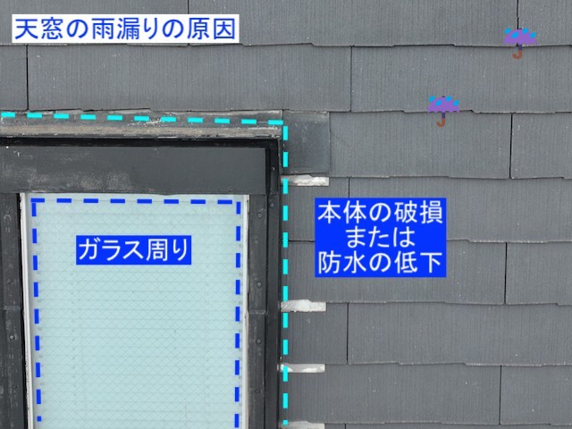 トップライト劣化