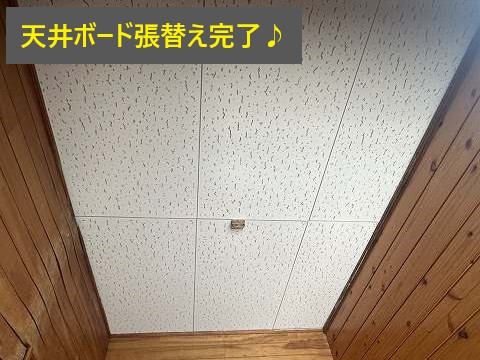 雨漏りの原因を追究ししっかりした補修をしましょう♬
