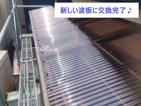 新しい波板に交換