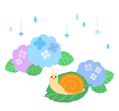 雨樋掃除　雨漏り対策・掃除の極意教えます！