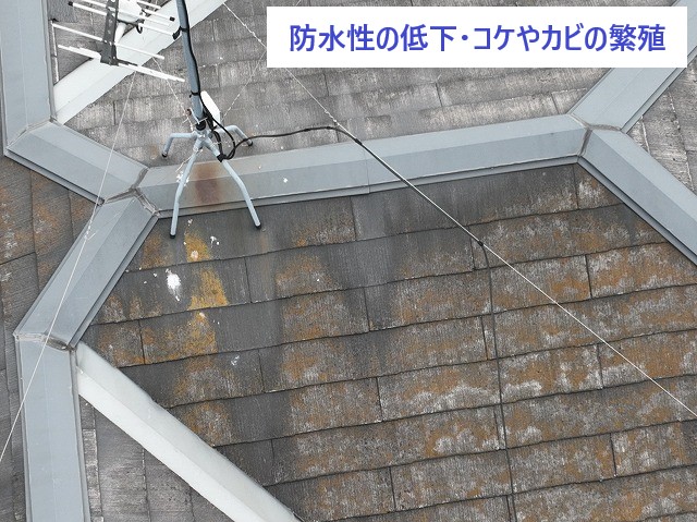 屋根カバー工事を実施しました♪
