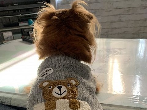 外壁塗装工事を行ったお客様よりお言葉をいただきました♪