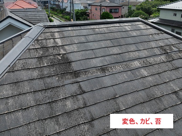 屋根の変色、カビ、苔